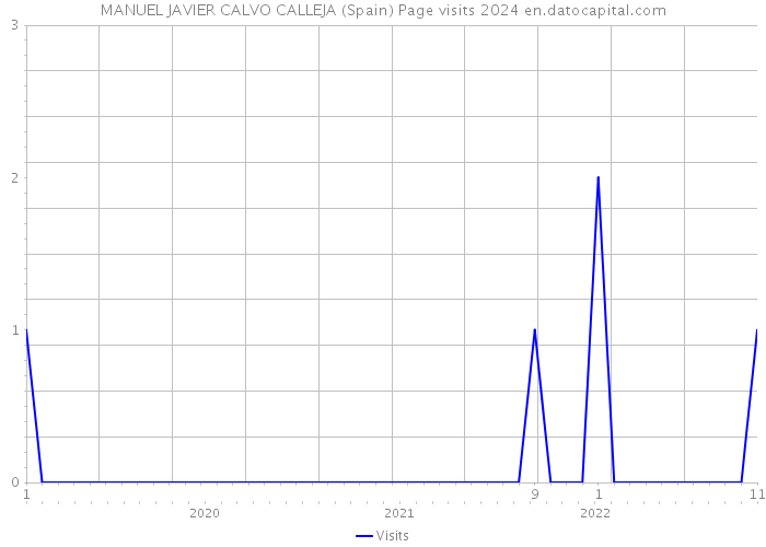 MANUEL JAVIER CALVO CALLEJA (Spain) Page visits 2024 