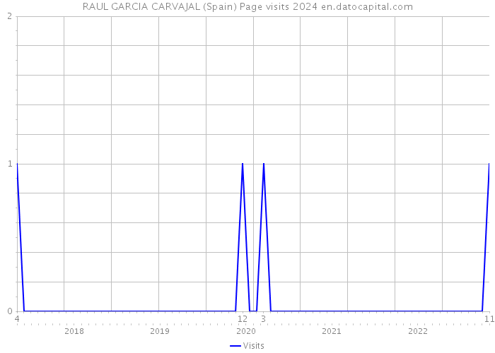 RAUL GARCIA CARVAJAL (Spain) Page visits 2024 