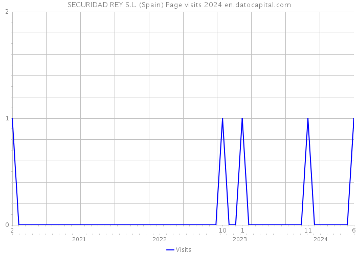 SEGURIDAD REY S.L. (Spain) Page visits 2024 