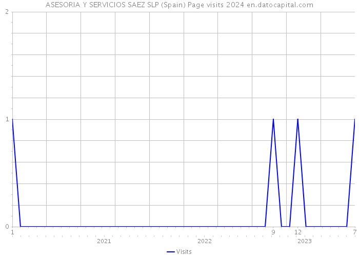 ASESORIA Y SERVICIOS SAEZ SLP (Spain) Page visits 2024 