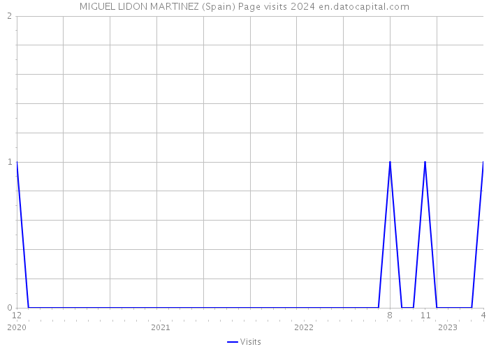 MIGUEL LIDON MARTINEZ (Spain) Page visits 2024 