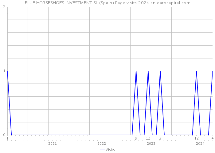 BLUE HORSESHOES INVESTMENT SL (Spain) Page visits 2024 