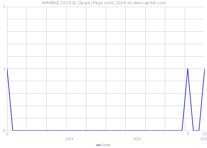 AMABILE 2019 SL (Spain) Page visits 2024 