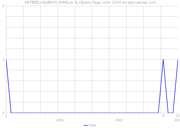 ARTEPELUQUEROS ARMILLA SL (Spain) Page visits 2024 