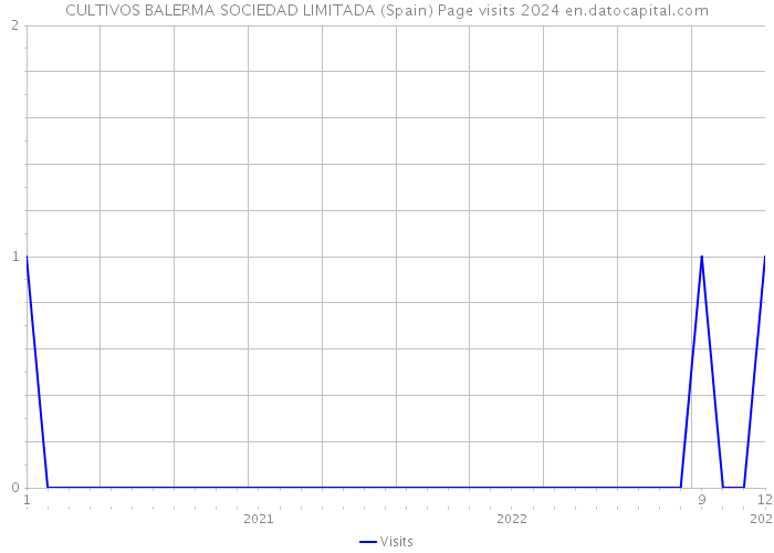 CULTIVOS BALERMA SOCIEDAD LIMITADA (Spain) Page visits 2024 