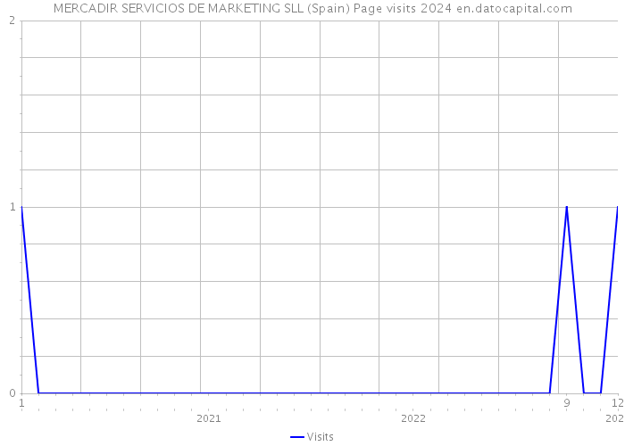 MERCADIR SERVICIOS DE MARKETING SLL (Spain) Page visits 2024 