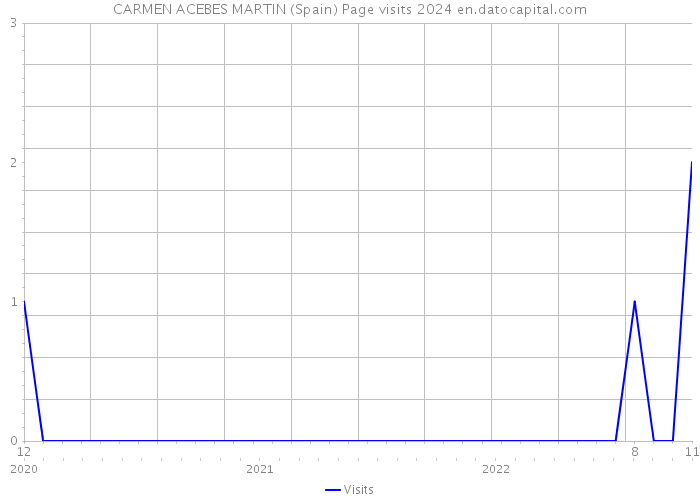 CARMEN ACEBES MARTIN (Spain) Page visits 2024 