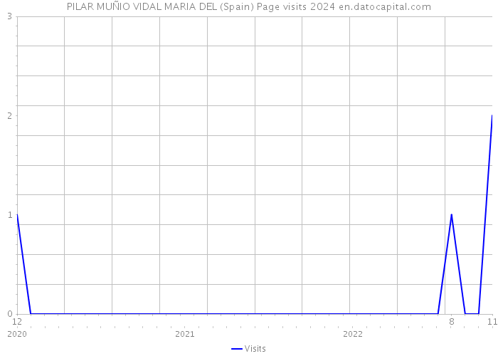 PILAR MUÑIO VIDAL MARIA DEL (Spain) Page visits 2024 