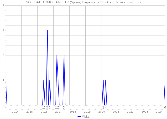 SOLEDAD TOBIO SANCHEZ (Spain) Page visits 2024 