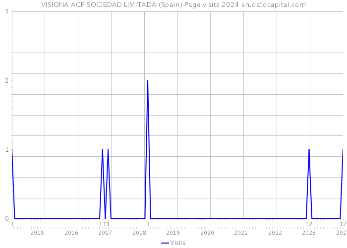 VISIONA AGP SOCIEDAD LIMITADA (Spain) Page visits 2024 