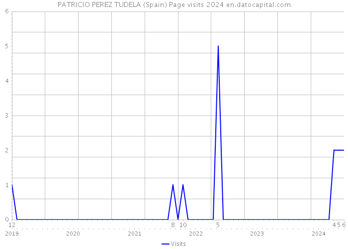 PATRICIO PEREZ TUDELA (Spain) Page visits 2024 