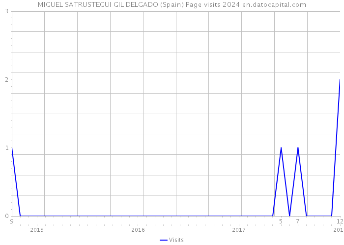 MIGUEL SATRUSTEGUI GIL DELGADO (Spain) Page visits 2024 