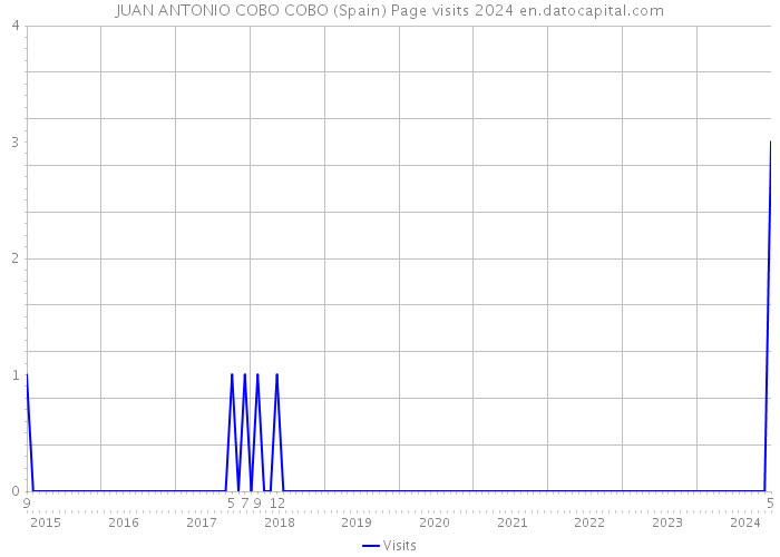 JUAN ANTONIO COBO COBO (Spain) Page visits 2024 