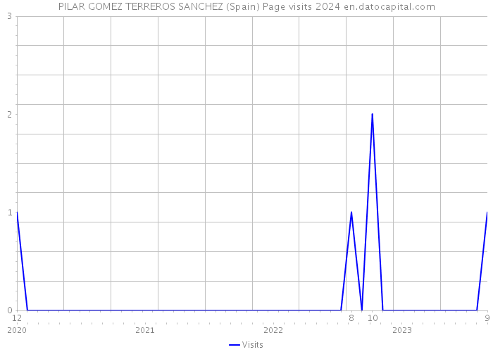 PILAR GOMEZ TERREROS SANCHEZ (Spain) Page visits 2024 