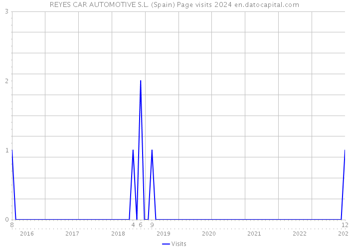 REYES CAR AUTOMOTIVE S.L. (Spain) Page visits 2024 