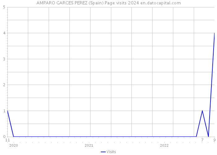 AMPARO GARCES PEREZ (Spain) Page visits 2024 