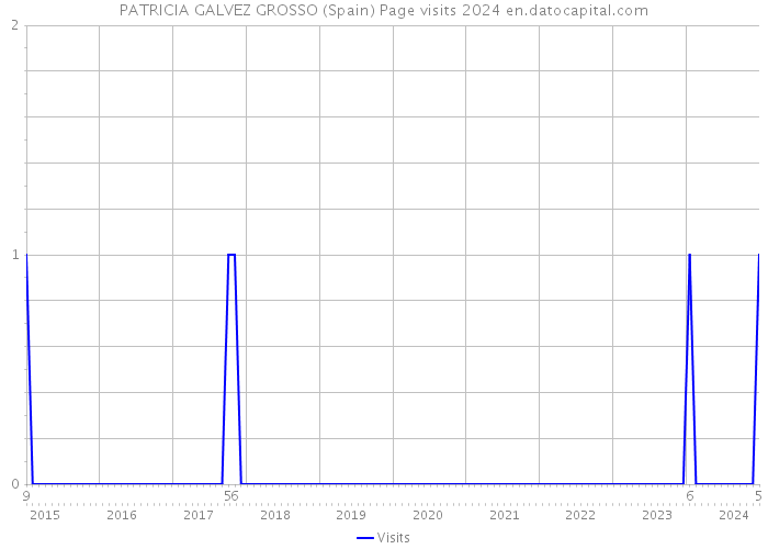 PATRICIA GALVEZ GROSSO (Spain) Page visits 2024 