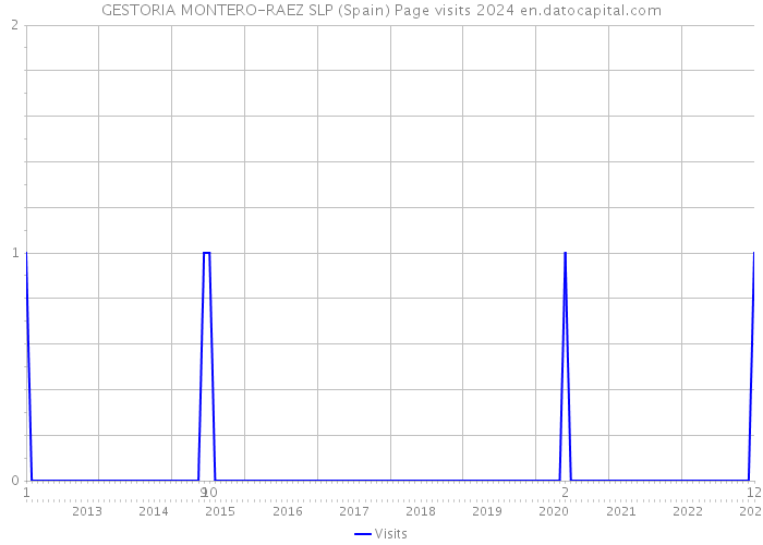 GESTORIA MONTERO-RAEZ SLP (Spain) Page visits 2024 