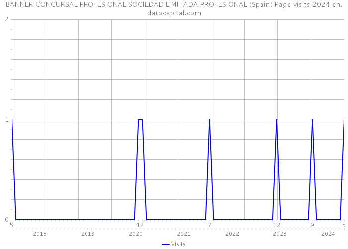 BANNER CONCURSAL PROFESIONAL SOCIEDAD LIMITADA PROFESIONAL (Spain) Page visits 2024 
