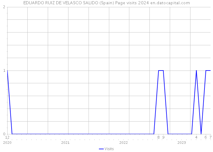 EDUARDO RUIZ DE VELASCO SALIDO (Spain) Page visits 2024 