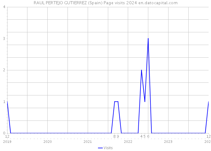 RAUL PERTEJO GUTIERREZ (Spain) Page visits 2024 