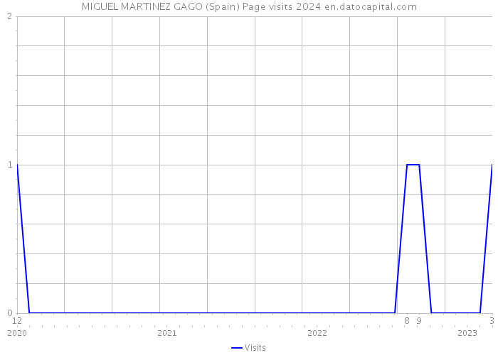MIGUEL MARTINEZ GAGO (Spain) Page visits 2024 