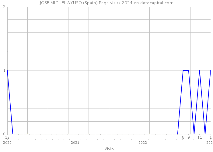 JOSE MIGUEL AYUSO (Spain) Page visits 2024 