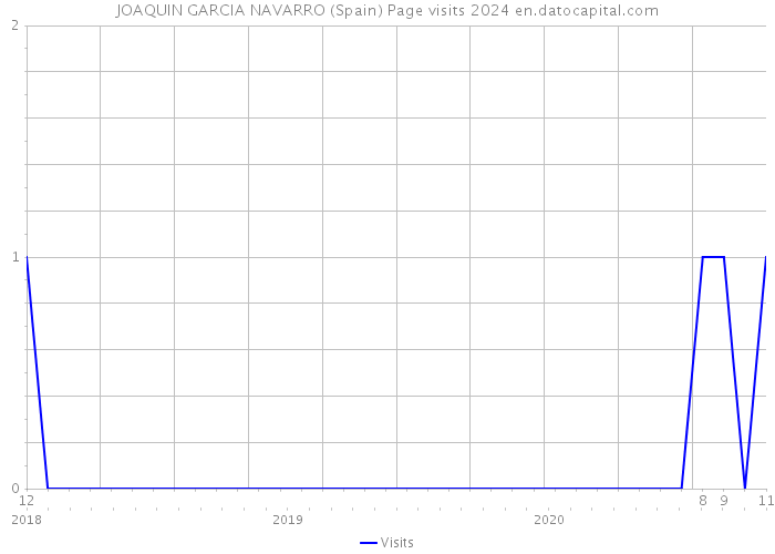 JOAQUIN GARCIA NAVARRO (Spain) Page visits 2024 