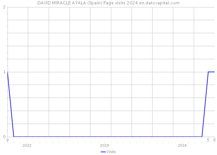 DAVID MIRACLE AYALA (Spain) Page visits 2024 