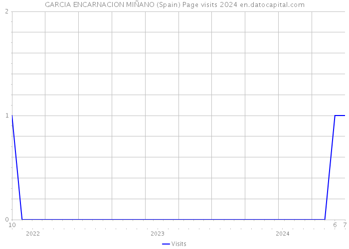 GARCIA ENCARNACION MIÑANO (Spain) Page visits 2024 