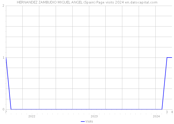 HERNANDEZ ZAMBUDIO MIGUEL ANGEL (Spain) Page visits 2024 