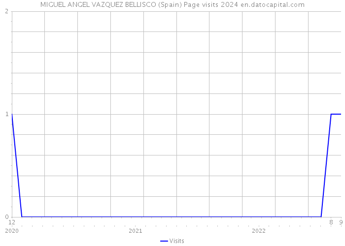 MIGUEL ANGEL VAZQUEZ BELLISCO (Spain) Page visits 2024 