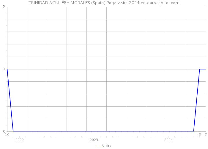 TRINIDAD AGUILERA MORALES (Spain) Page visits 2024 