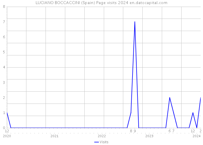 LUCIANO BOCCACCINI (Spain) Page visits 2024 