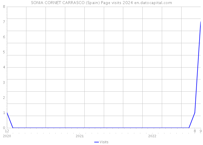 SONIA CORNET CARRASCO (Spain) Page visits 2024 