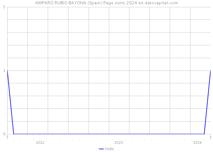 AMPARO RUBIO BAYONA (Spain) Page visits 2024 