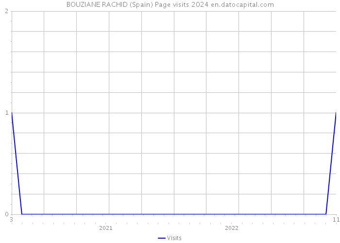 BOUZIANE RACHID (Spain) Page visits 2024 