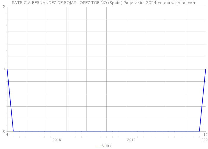 PATRICIA FERNANDEZ DE ROJAS LOPEZ TOFIÑO (Spain) Page visits 2024 