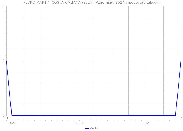 PEDRO MARTIN COSTA GALIANA (Spain) Page visits 2024 