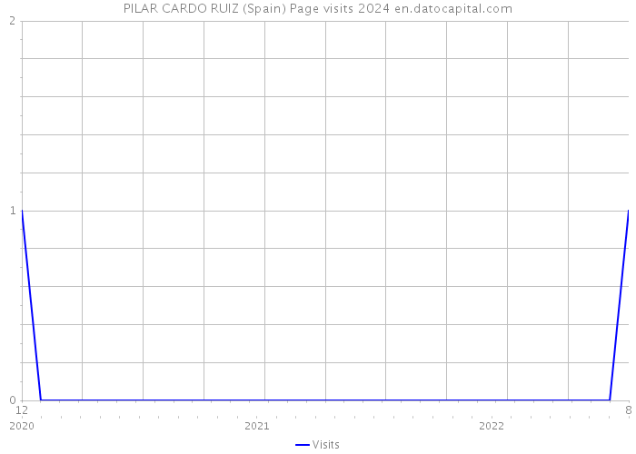 PILAR CARDO RUIZ (Spain) Page visits 2024 