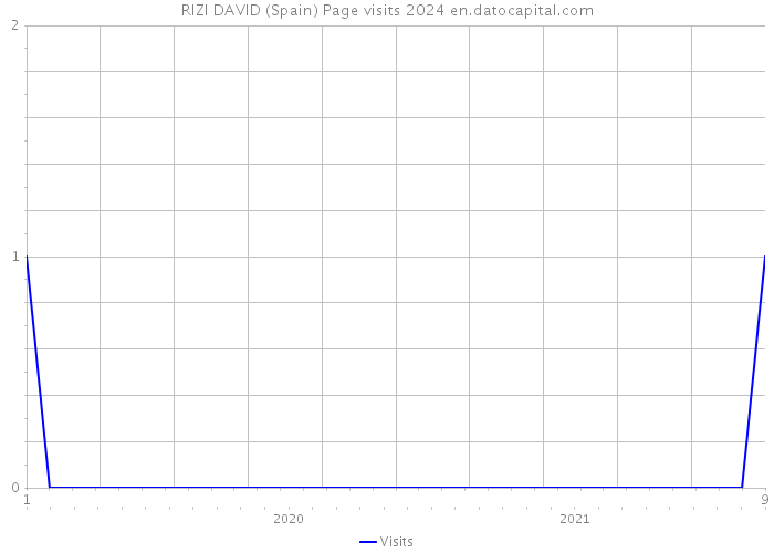 RIZI DAVID (Spain) Page visits 2024 