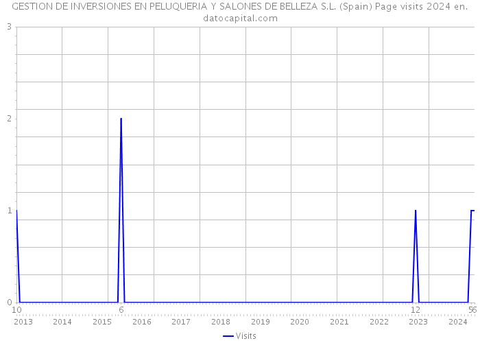 GESTION DE INVERSIONES EN PELUQUERIA Y SALONES DE BELLEZA S.L. (Spain) Page visits 2024 