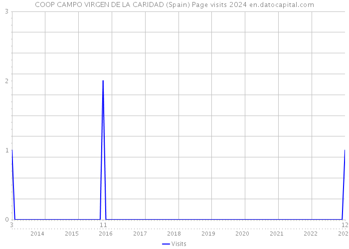 COOP CAMPO VIRGEN DE LA CARIDAD (Spain) Page visits 2024 