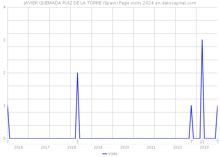 JAVIER QUEMADA RUIZ DE LA TORRE (Spain) Page visits 2024 