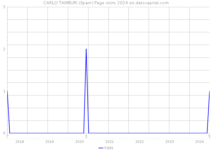 CARLO TAMBURI (Spain) Page visits 2024 
