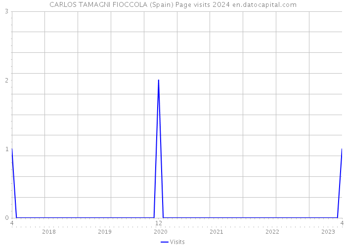 CARLOS TAMAGNI FIOCCOLA (Spain) Page visits 2024 
