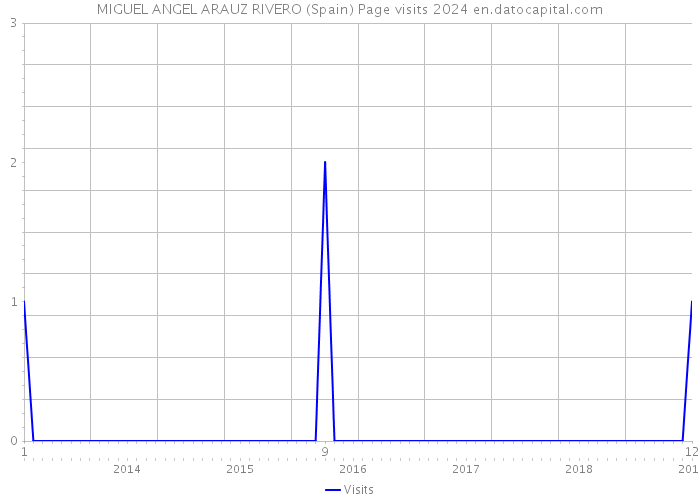 MIGUEL ANGEL ARAUZ RIVERO (Spain) Page visits 2024 