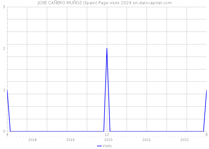 JOSE CAÑERO MUÑOZ (Spain) Page visits 2024 