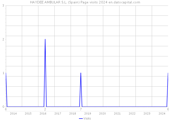 HAYDEE AMBULAR S.L. (Spain) Page visits 2024 