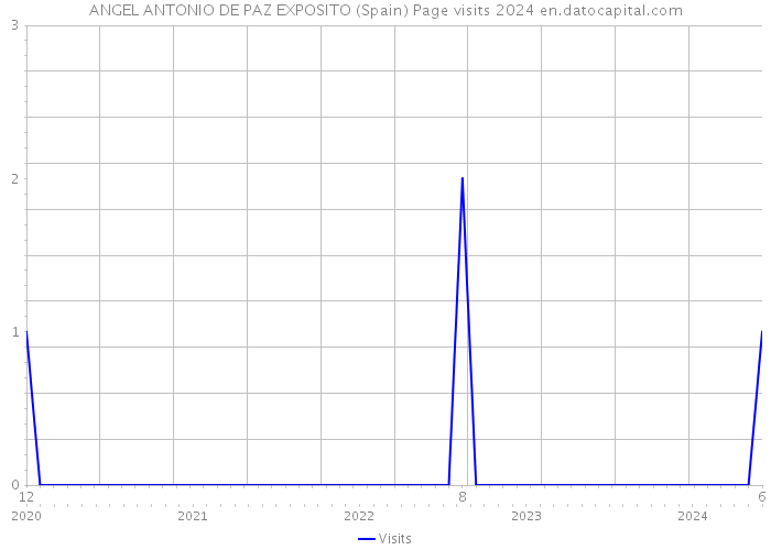 ANGEL ANTONIO DE PAZ EXPOSITO (Spain) Page visits 2024 